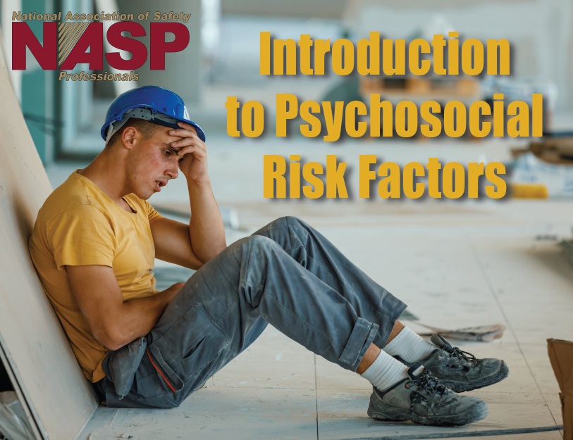 Human Factors Training, States of Mind