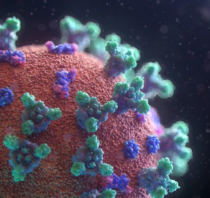 fusion-medical-animation-EAgGqOiDDMg-unsplash-scaled-e1637074636138