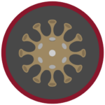 idp-logo