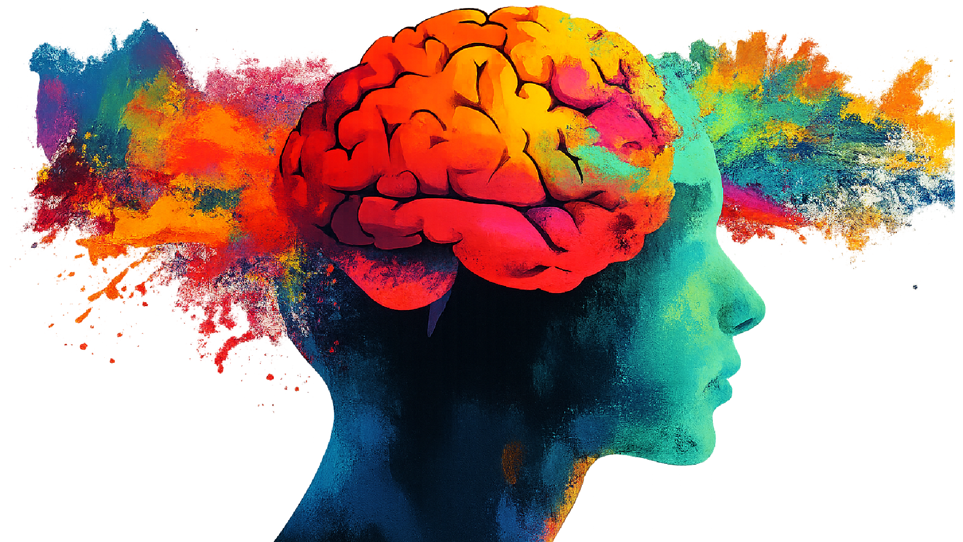PHS Brain